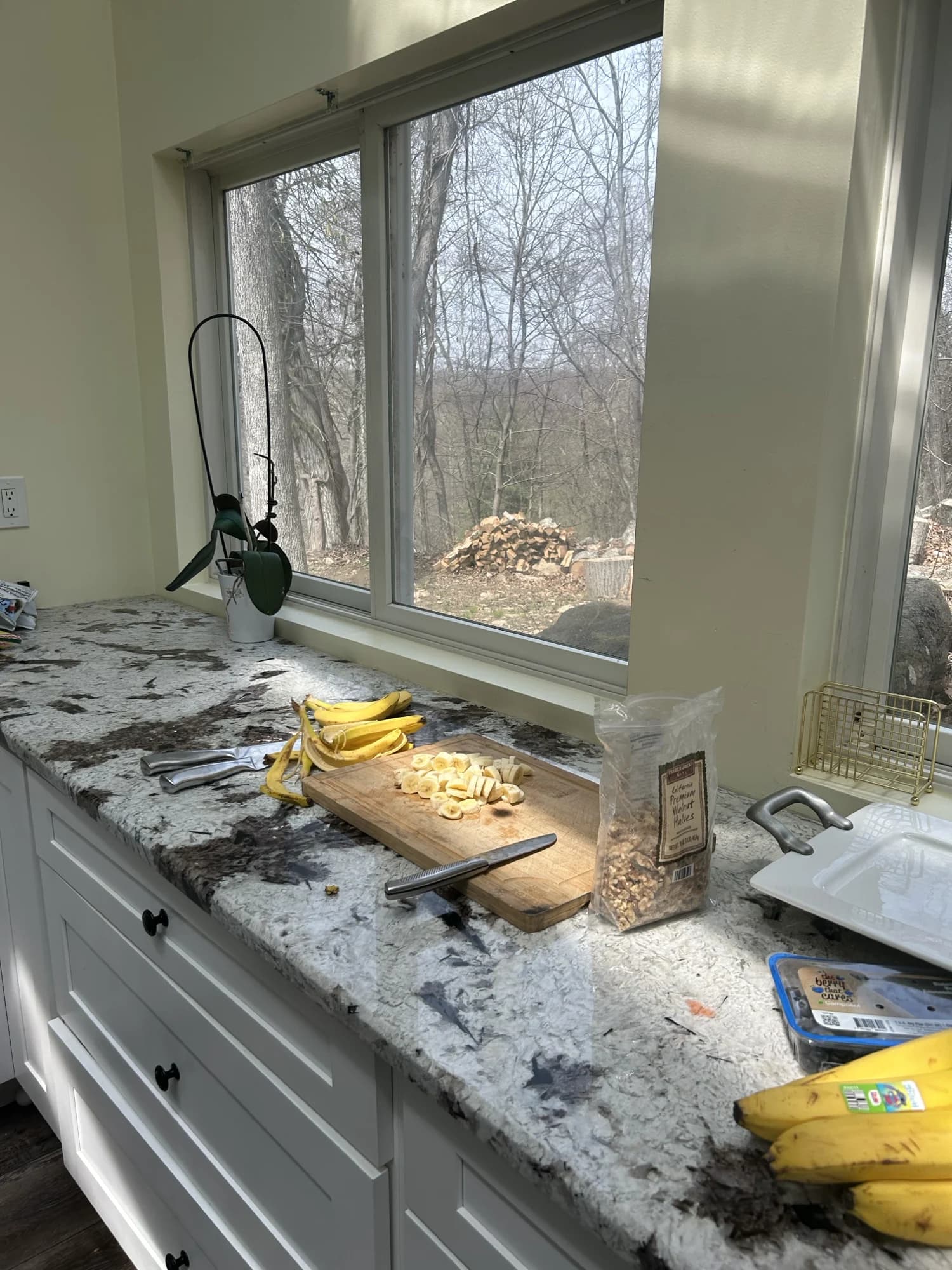 Bananas and a cutting board on a kitchen counter by a window onto bare woods